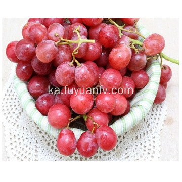 ვარდისფერი ფერი წითელი ყურძენი